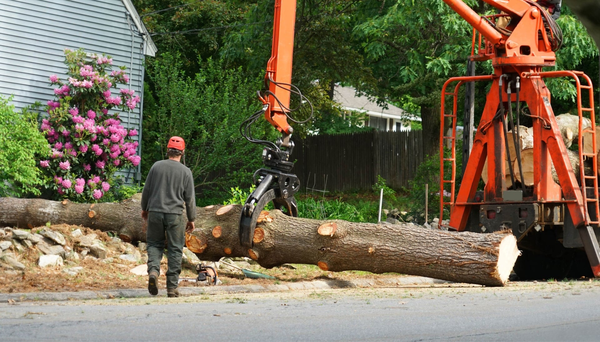 Local partner for Tree removal services in Missoula