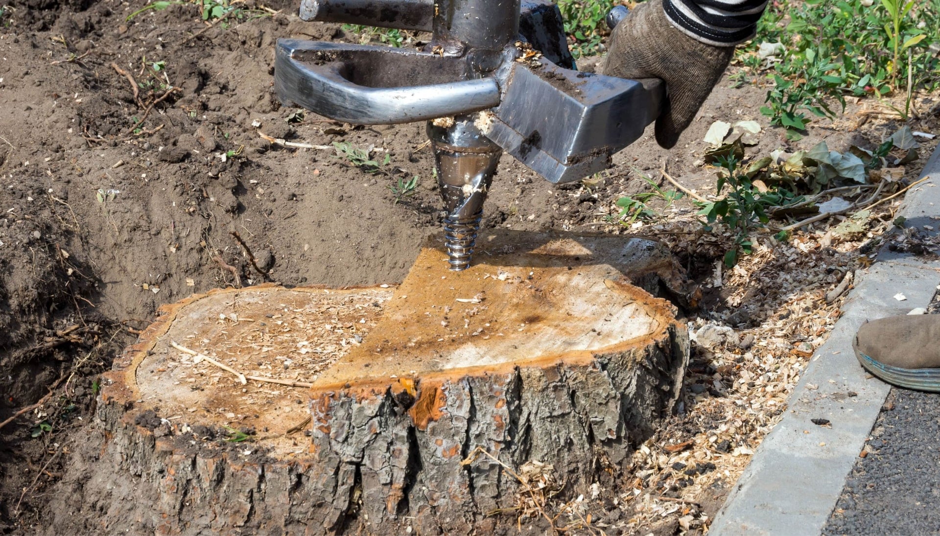 Missoula Tree stump removal